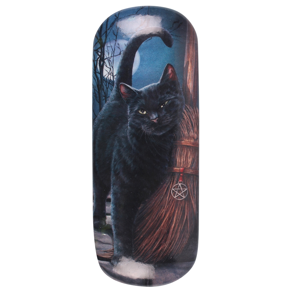 Brush with Magik (Black Cat) Eye GLASS Case by Lisa Parker