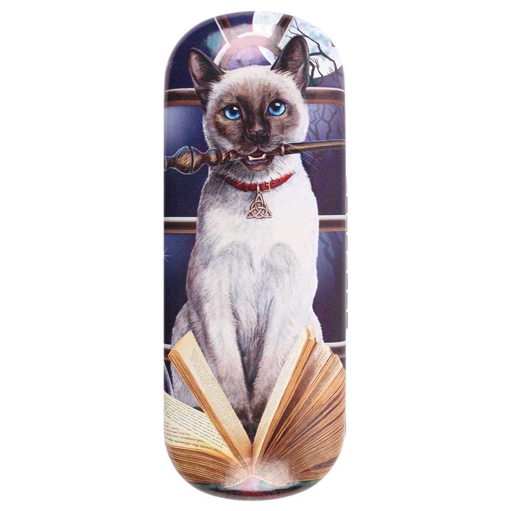 Hocus Pocus Cat Eye GLASS Case by Lisa Parker